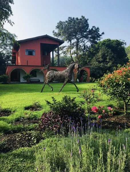 Hotel Boutique Finca de la Niebla Coatepec hotel detail image 6