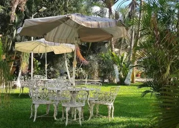 Hotel HF Hacienda San Francisco hotel thumbnail 5