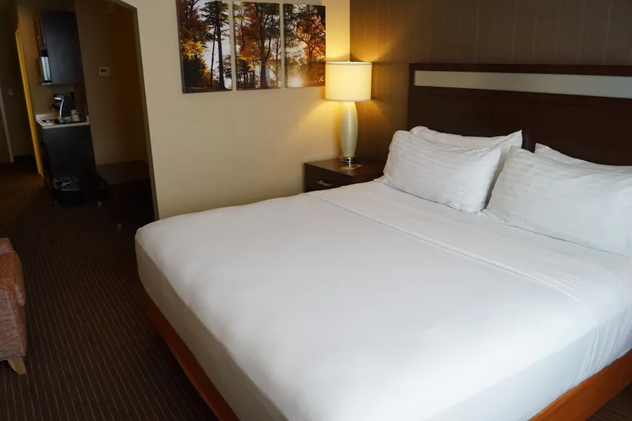 Holiday Inn Express Hotel & Suites Watertown-Thousand Island by IHG hotel detail image 6