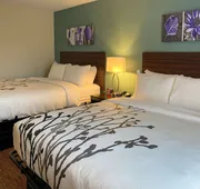 Sleep Inn & Suites - Coliseum Area hotel detail image 5