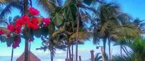 Hotel thumbnail 5