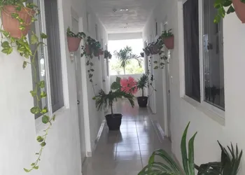 Hotel Las Palmas Puerto Morelos hotel thumbnail 5