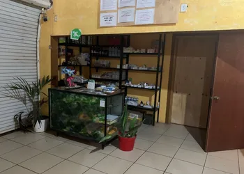 OYO Hotel Cannacare hotel thumbnail 7