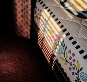 Ulysses, an Ash Hotel hotel detail image 7