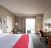 Rodeway Inn hotel detail image 4