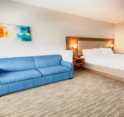 Holiday Inn Express & Suites Houston SW - Galleria Area by IHG hotel detail image 7