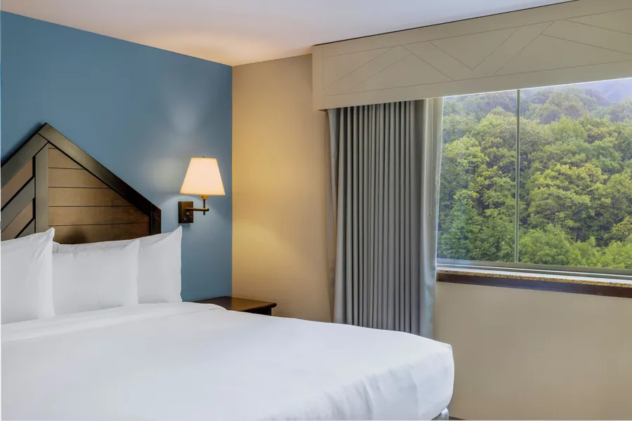 Camelback Resort hotel detail image 6