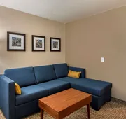 Comfort Inn & Suites Charlottesville Hollymead Town Center hotel detail image 5
