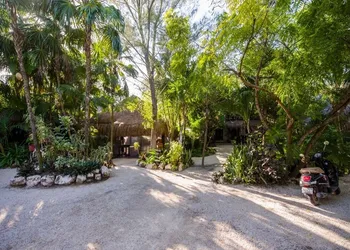 Yoga Shala - Adults Only hotel thumbnail 3