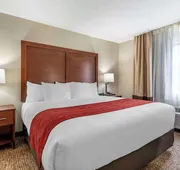 Comfort Inn & Suites Middletown - Franklin hotel detail image 7