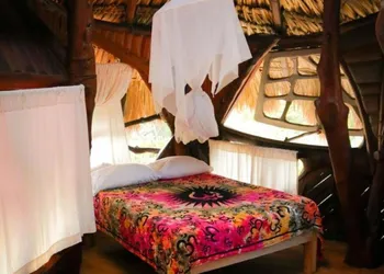 La Quinta Orquídea hotel thumbnail 3
