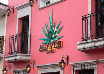 Nueve Agaves Hotel hotel thumbnail 2