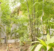 Gran Tamoanchan hotel detail image 7