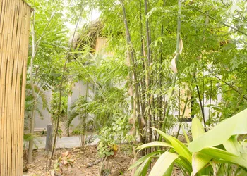 Gran Tamoanchan hotel thumbnail 7