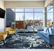 Towneplace Suites by Marriott Canton Riverstone Parkway hotel detail image 7