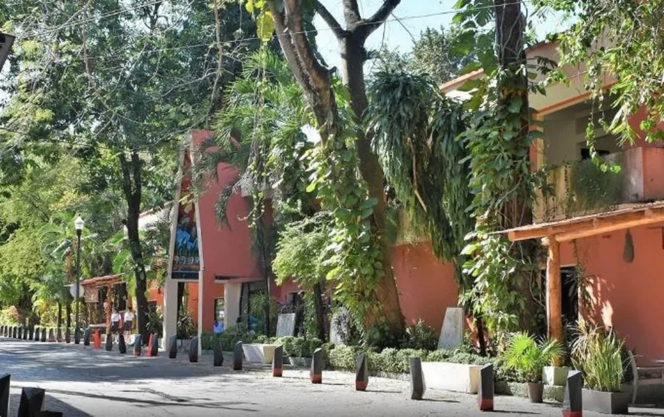 Maya Tulipanes Express hotel detail image 2