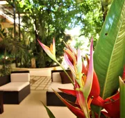 Maya Tulipanes Express hotel detail image 7