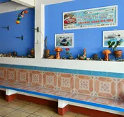 Hotel Costamar hotel detail image 4