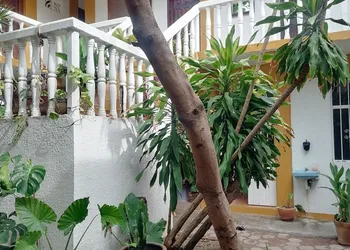 Hotel Adoquin Zipolite hotel thumbnail 2