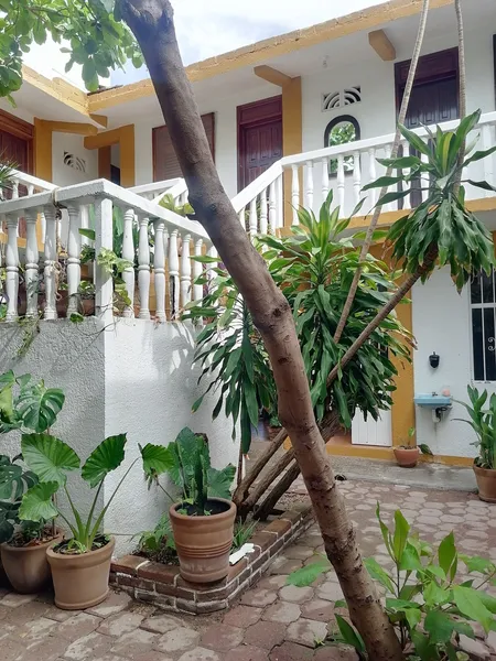 Hotel Adoquin Zipolite hotel detail image 2