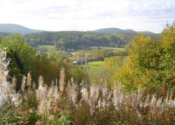 Gîte La Bergeronnette hotel thumbnail 3