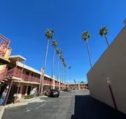 Palm Tree Inn hotel detail image 4