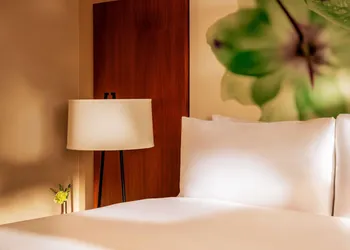 Fairmont Chicago at Millennium Park Gold Experience hotel thumbnail 7
