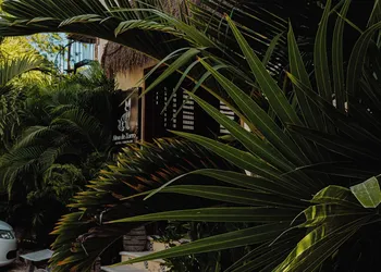 Alma de Zorro hotel thumbnail 2