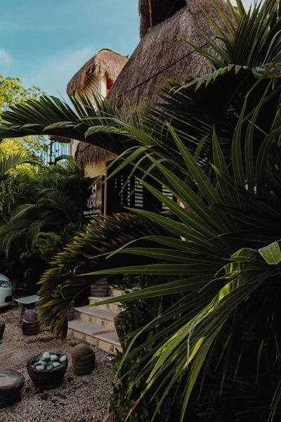 Alma de Zorro hotel detail image 2
