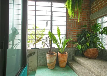 Casa Pancha Puerto Vallarta Centro - Adults Only hotel thumbnail 6