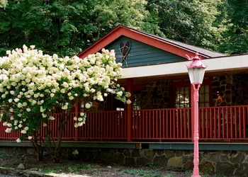 Our Habitas on Hudson hotel thumbnail 6