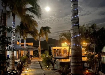 Las Palmas Hotel hotel thumbnail 3