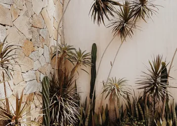 La Joya Sayulita hotel thumbnail 6
