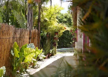 Hotel Casa De Las Flores hotel thumbnail 7