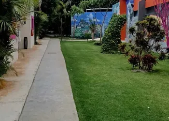 Hotel Casa De Las Flores hotel thumbnail 8