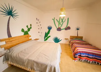 Hostel Casa Maguey hotel thumbnail 7