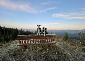 RockyMountainView BnB hotel thumbnail 3