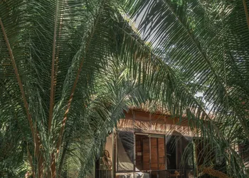 Casa Selva Sayulita hotel thumbnail 5