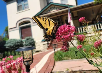 Downen House Bed & Breakfast hotel thumbnail 4