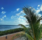 Grapetree Bay Hotel & Villas hotel detail image 3