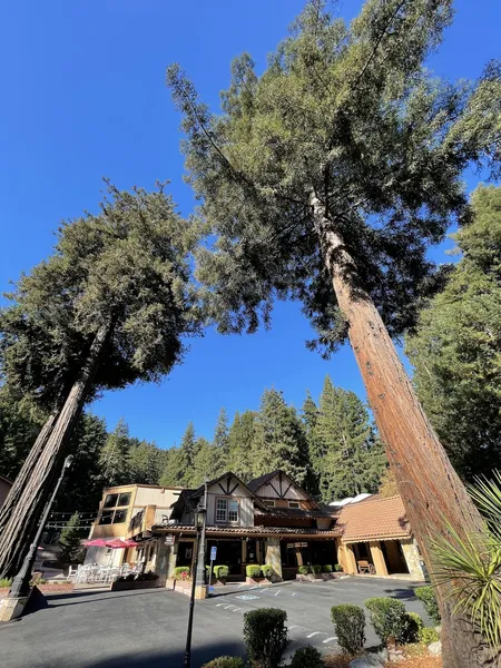 The Historic Brookdale Lodge, Santa Cruz Mountains hotel detail image 6