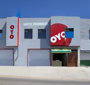 OYO Promenade hotel detail image 3