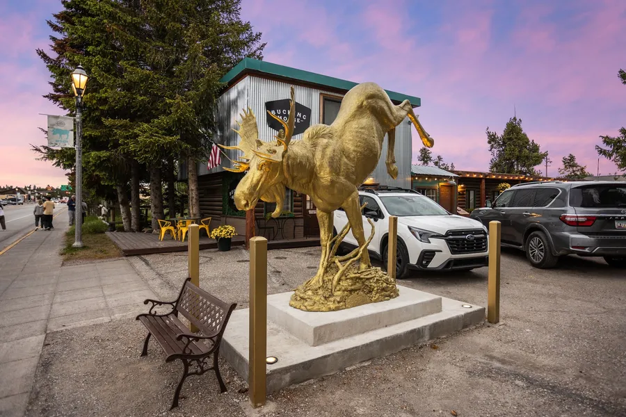 The Bucking Moose hotel detail image 2