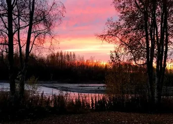 Lodge Suites at Susitna River Lodge hotel thumbnail 4