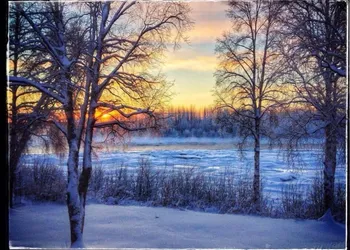 Lodge Suites at Susitna River Lodge hotel thumbnail 5
