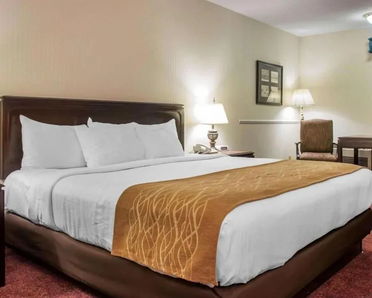 Canberra Premiere Comfort Hotel hotel detail image 6