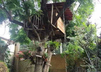Casita del Arbol hotel thumbnail 2