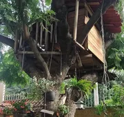 Casita del Arbol hotel detail image 3