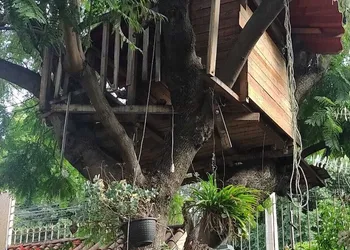 Casita del Arbol hotel thumbnail 3