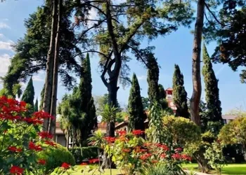 Utopía Hotel Boutique hotel thumbnail 2